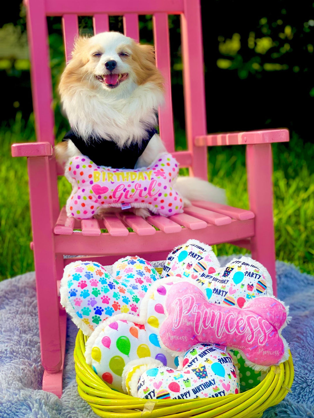 Plush Pet Toys