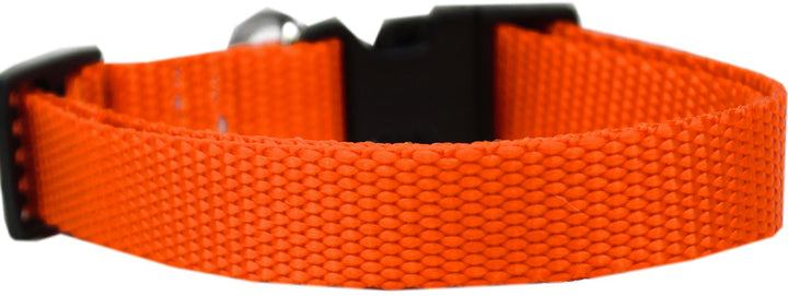 Hot Orange
