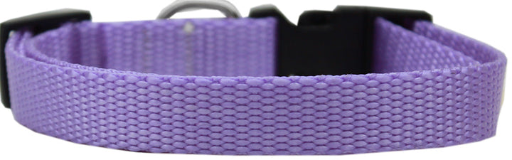 Plain Nylon Collars and Leashes