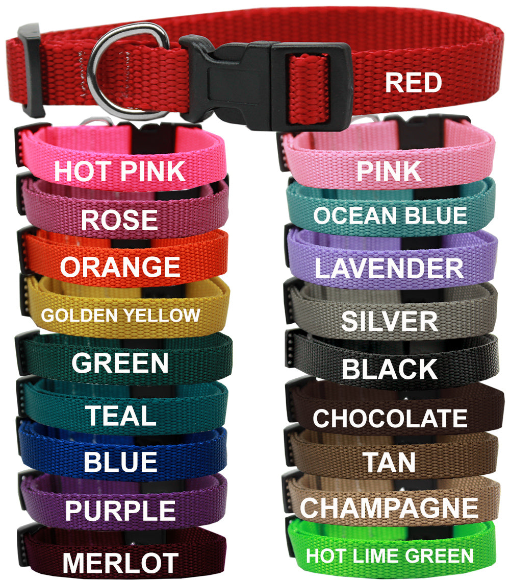 Plain Nylon Collars and Leashes
