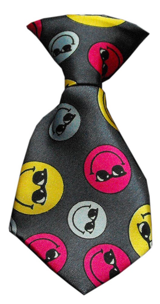 Pet, Dog & Cat Neck Ties, "Rainbow Group"