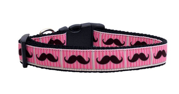 Pet Dog & Cat Nylon Collar or Leash, "Pink Striped Moustache"