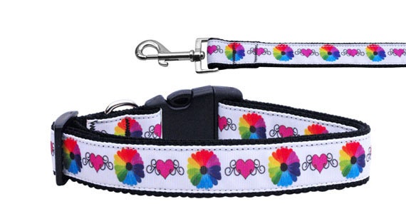 Pet Dog & Cat Nylon Collar or Leash, &quot;Technicolor Love&quot;